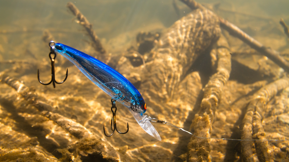 A blue elongated wobbler dived into the depths of the river while fishing. A metal leash pulls him forward. In the background - the muddy bottom of the river with driftwood, illuminated by the sun.