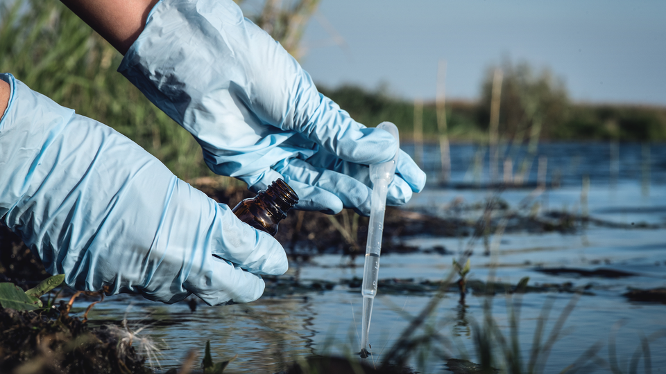 Two hands with protective gloves on taking a watersample from a lake, with a pipette. 
