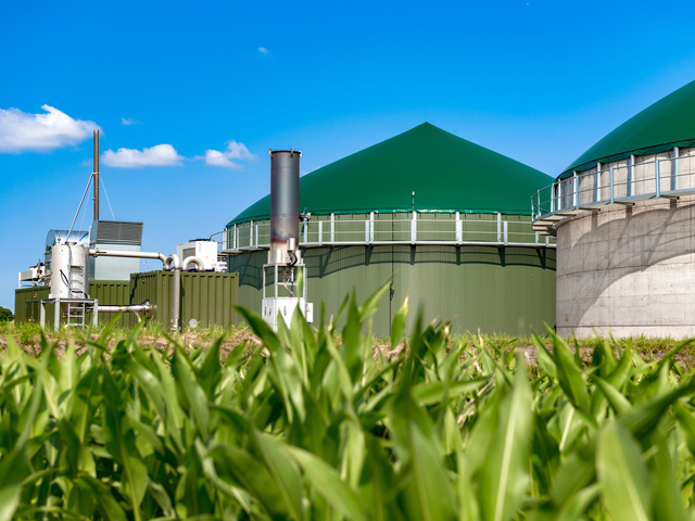 Biogas facility with green roof, blurred grass in the foreground.